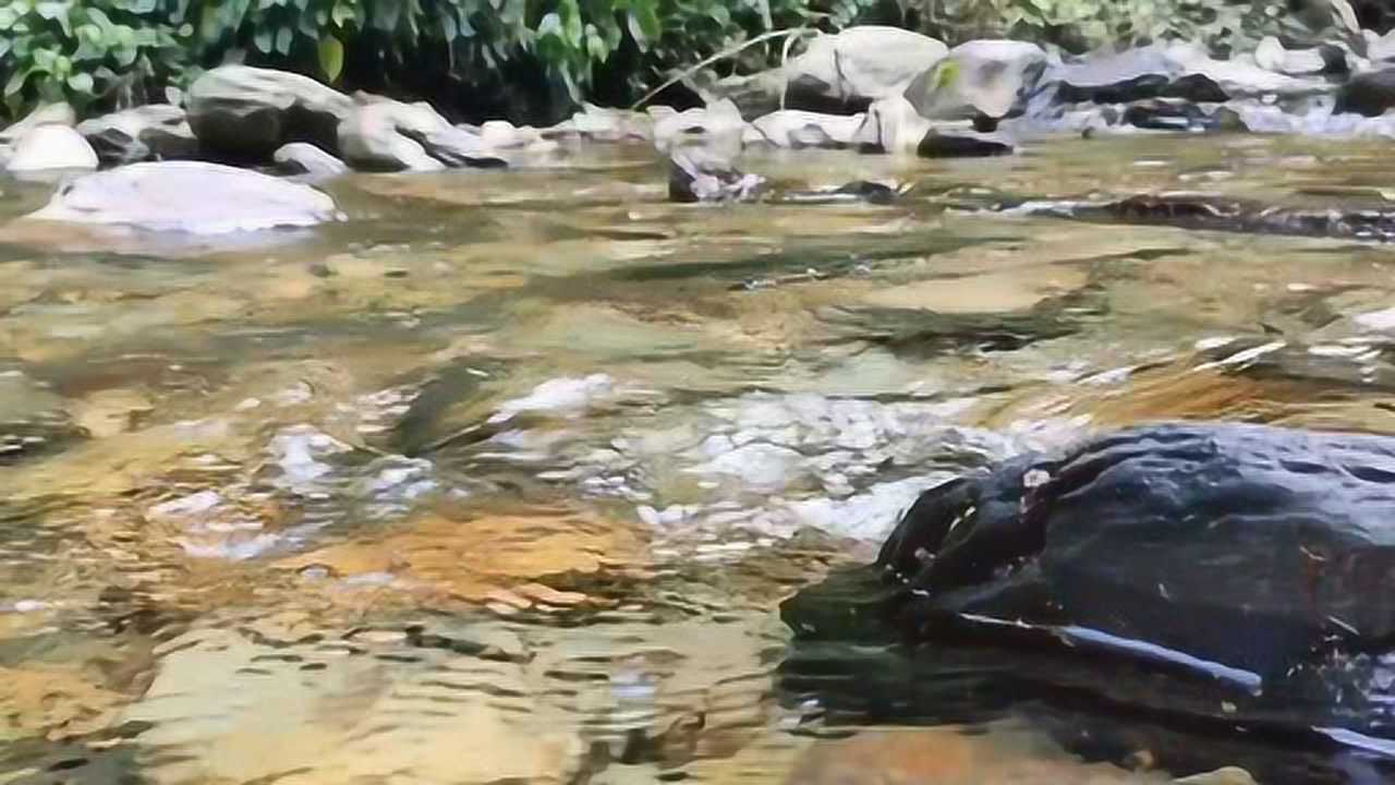 山间流水,清空繁杂!腾讯视频