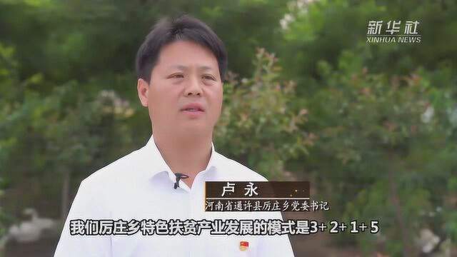 河南通许:三大扶贫基地实现脱贫致富“加速跑”