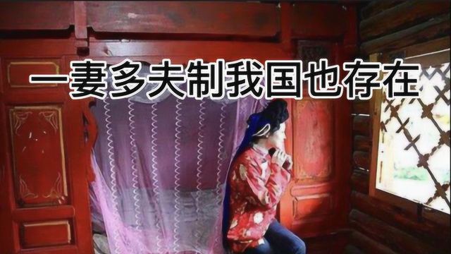 这些国家一妻多夫盛行多年,中国也存在,专家建议全面实施?