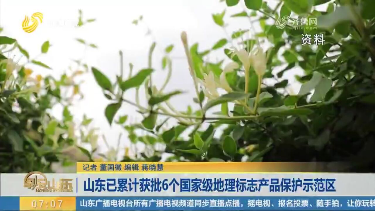 平邑金银花入选,山东已累计获批6个国家级地理标志产品保护示范区