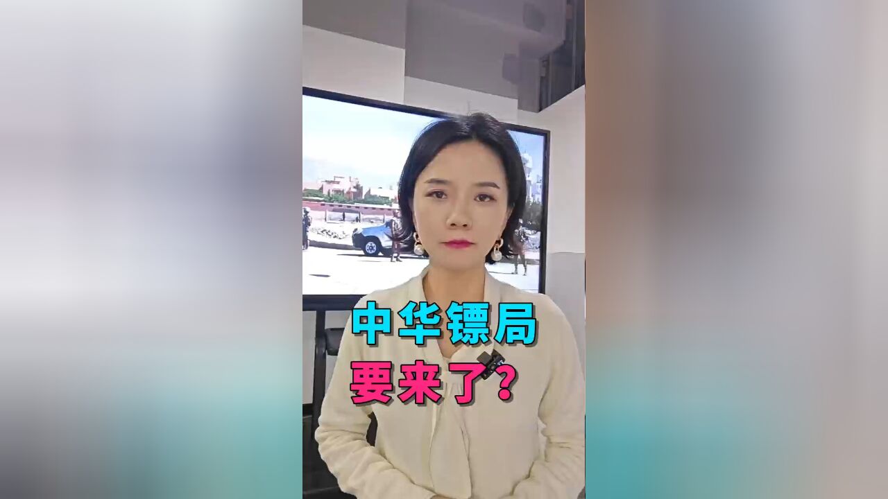 现代版镖局要诞生了,为海外中国企业保驾护航