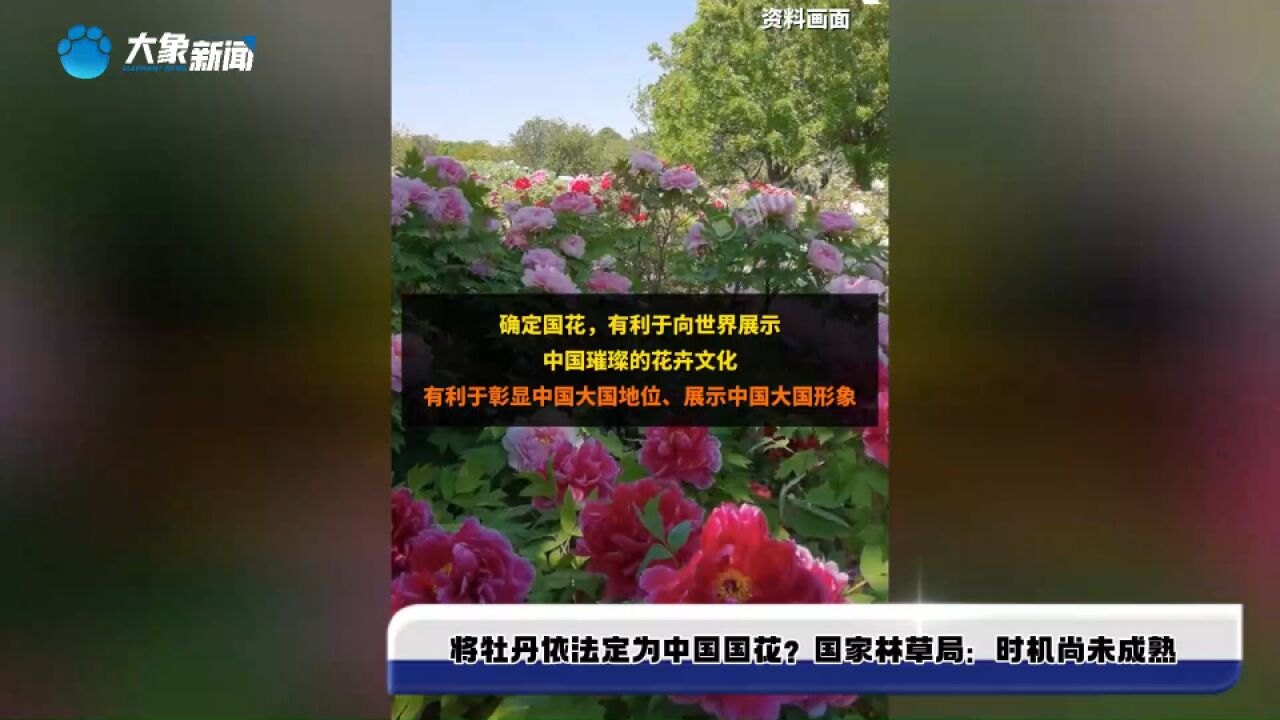 将牡丹依法定为中国国花?国家林草局:时机尚未成熟