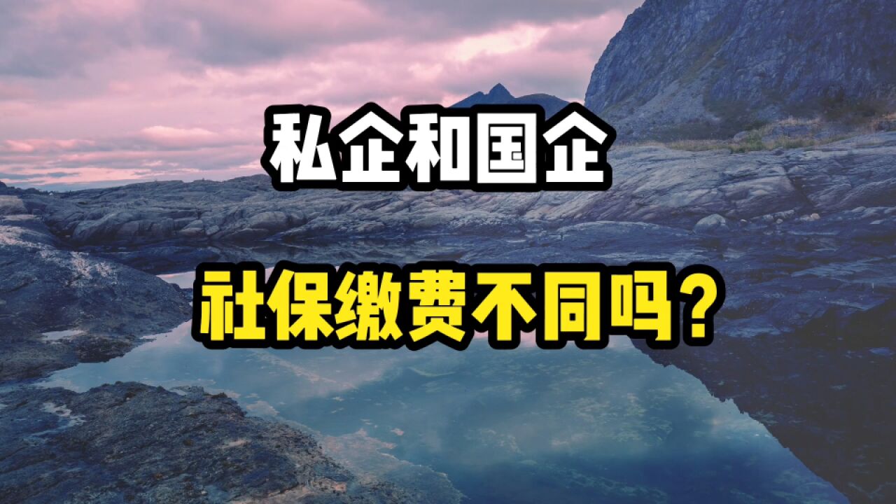 私企和国企,在职工养老保险缴费方面,有什么不同吗?