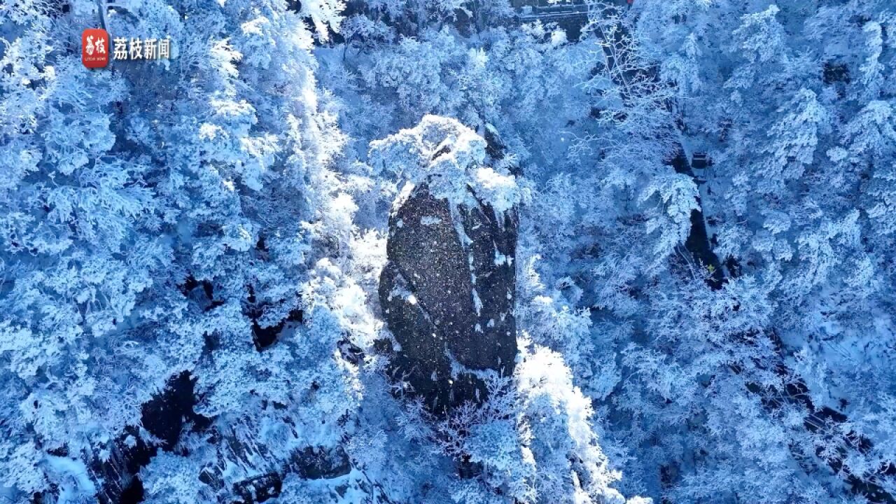 凝霜挂雪!安徽九华山雪霁初晴云海翻腾