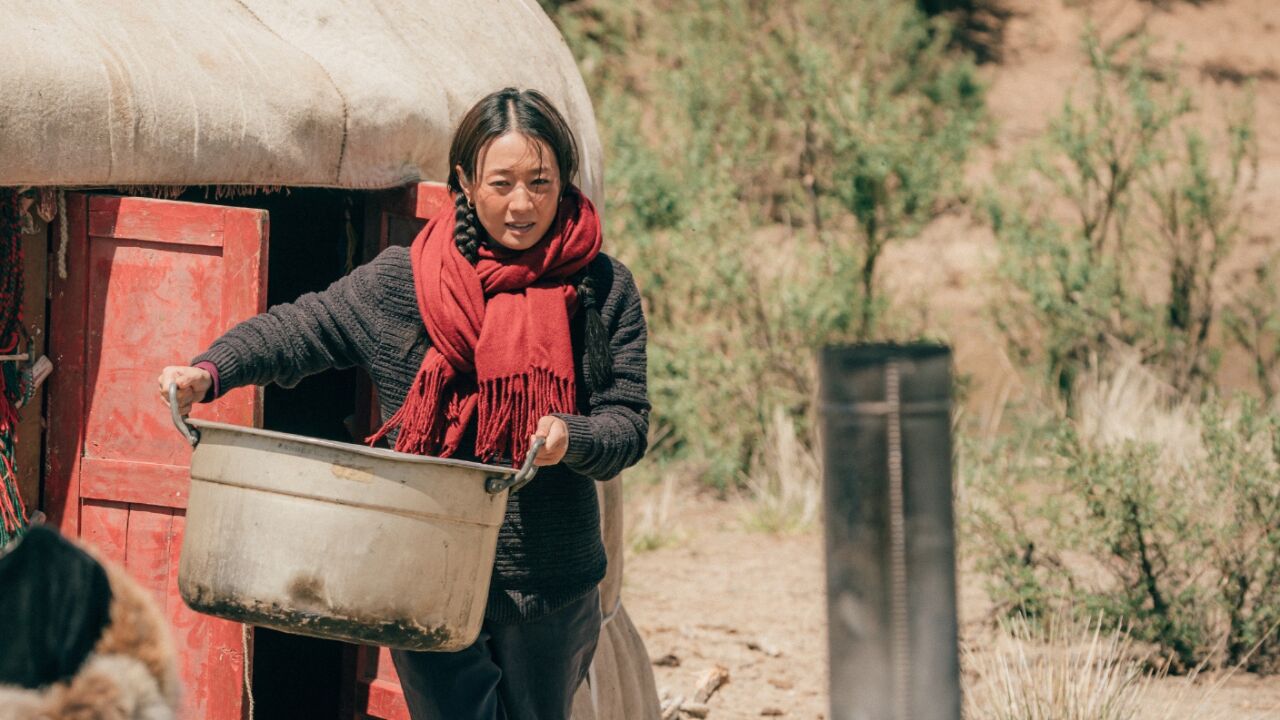 《我的阿勒泰》身心好治愈,凤侠马伊琍获“新疆文化旅游宣传大使”