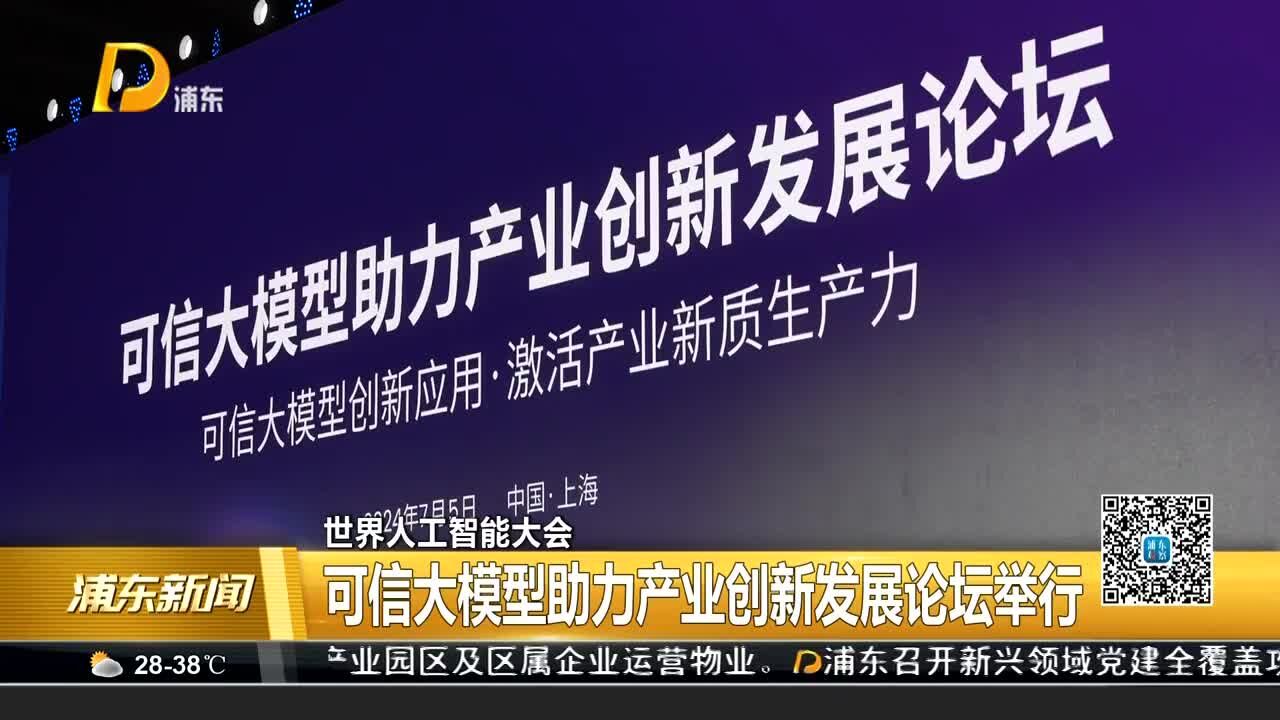 世界人工智能大会 可信大模型助力产业创新发展论坛举行