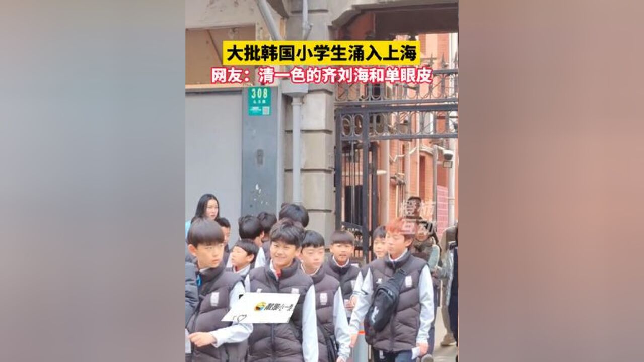 大批韩国小学生涌入上海,网友:清一色的齐刘海和单眼皮