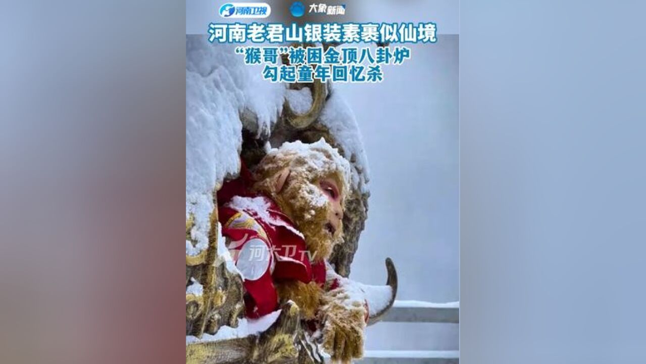 这个冬天一定不能错过老君山 “猴哥”再现被压炼丹炉