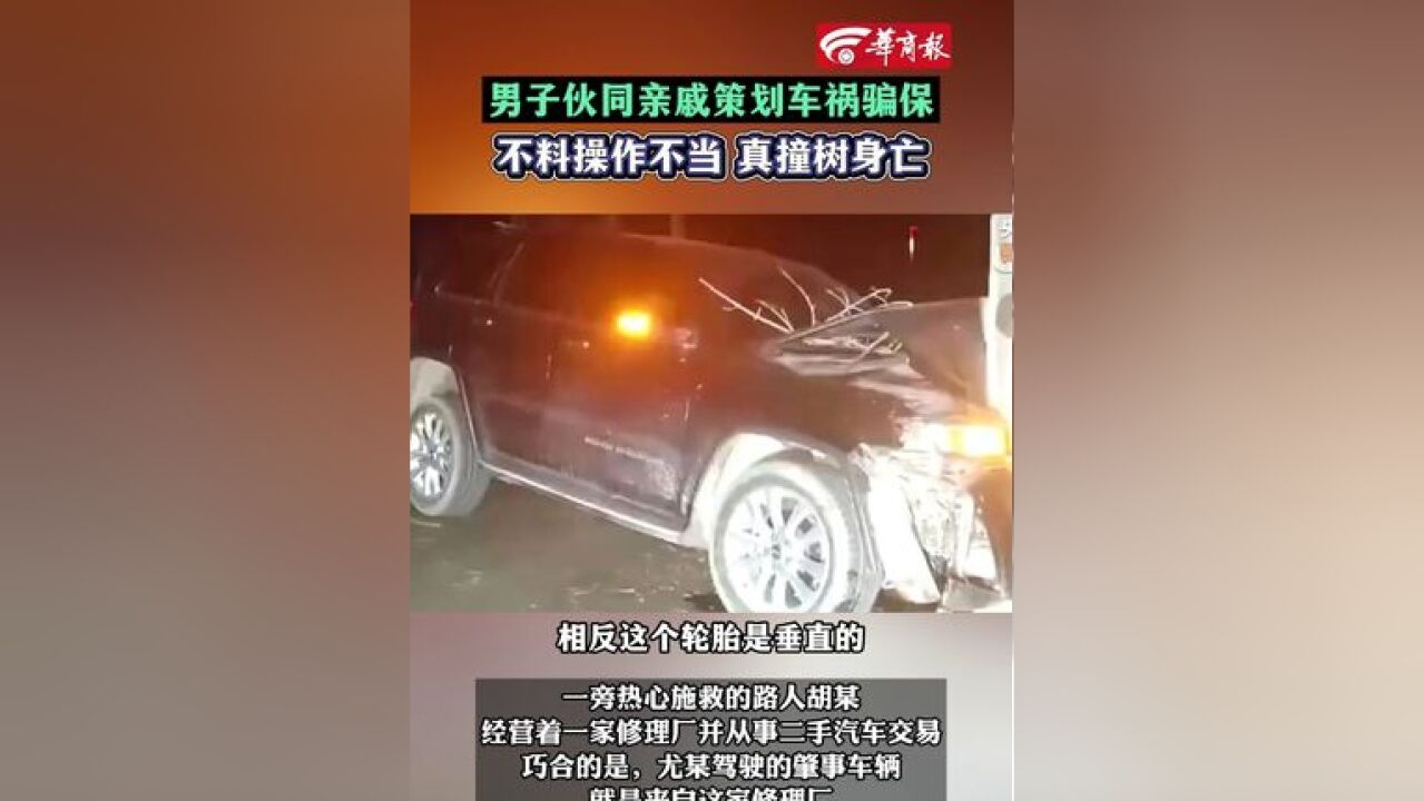 男子伙同亲戚策划车祸骗保不料操作不当真撞树身亡