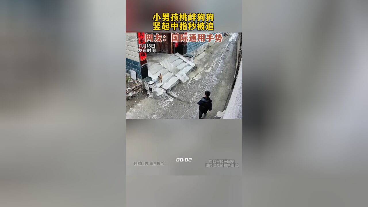 小男孩桃衅狗狗,竖起中指秒被追