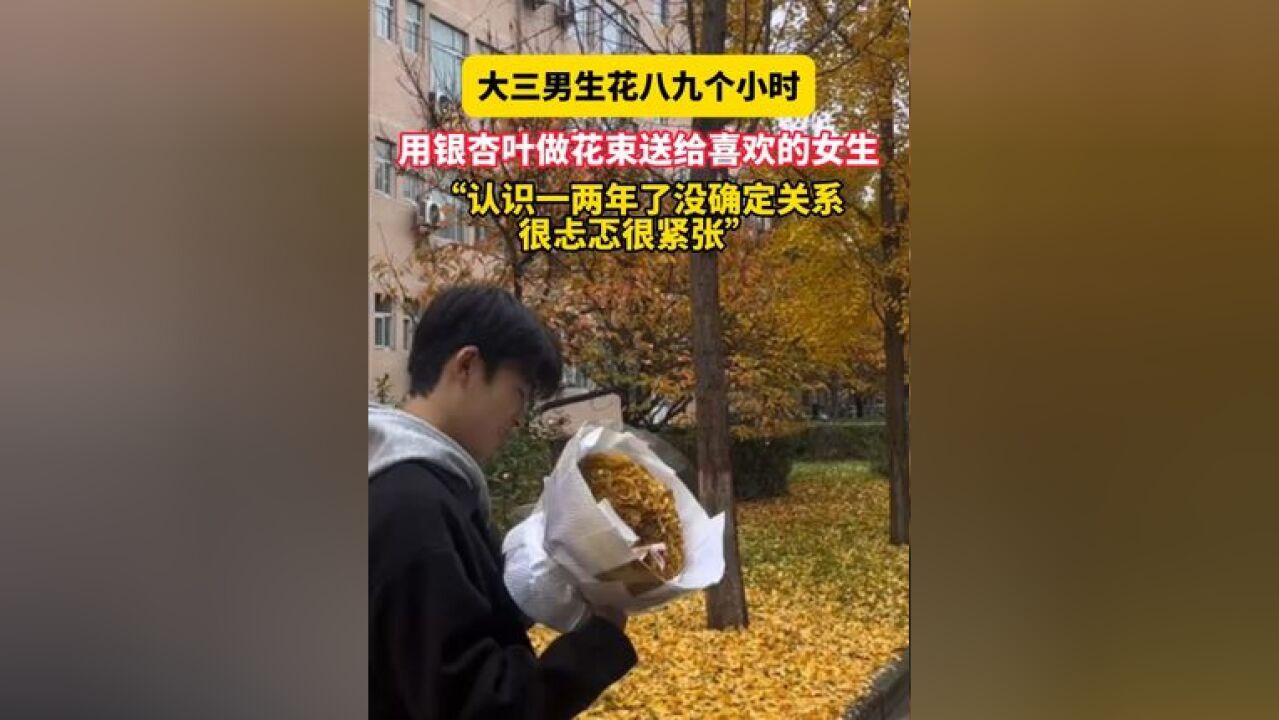 11月17日 西安石油大学,大三男生花八九个小时,用银杏叶做花束送给喜欢的女生,“认识一两年了没确定关系,很忐忑很紧张……”