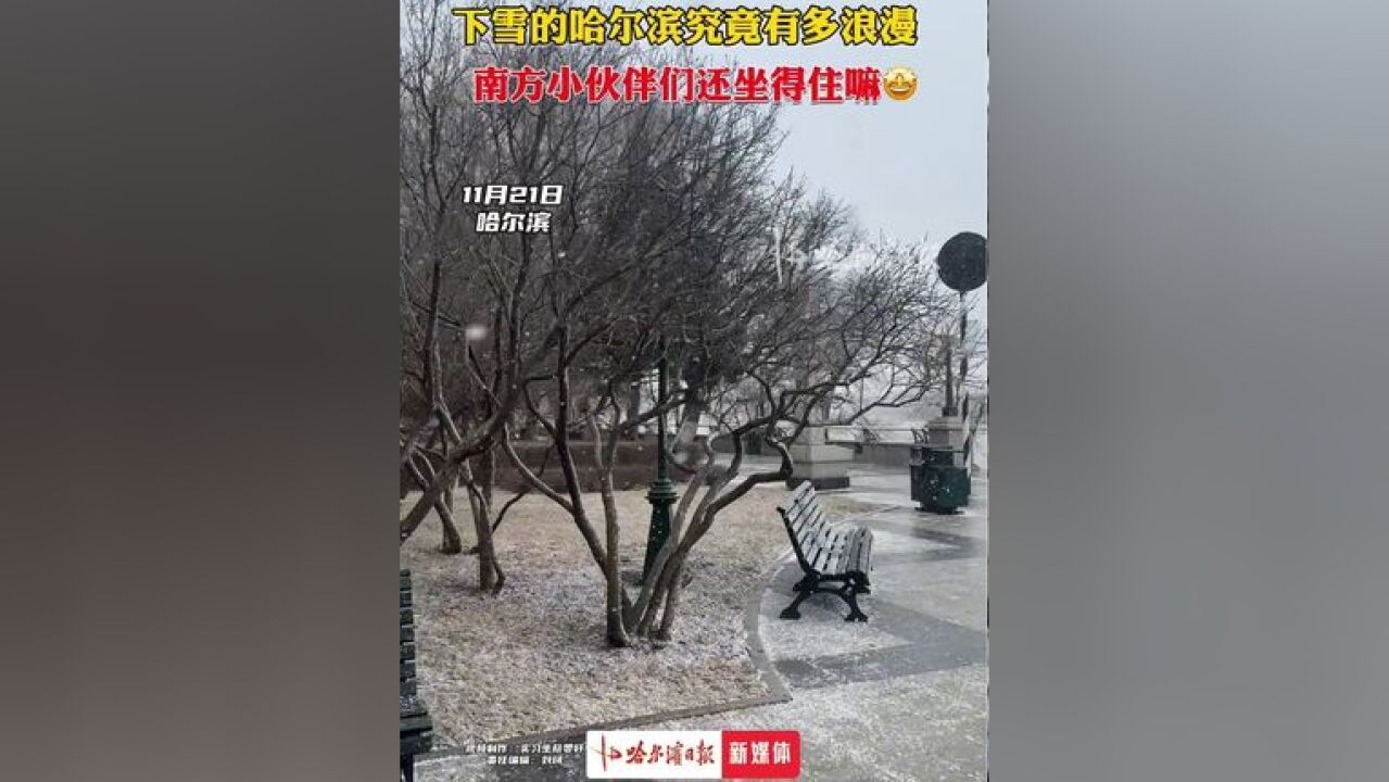 下雪的哈尔滨究竟有多浪漫,南方小伙伴还坐得住嘛?