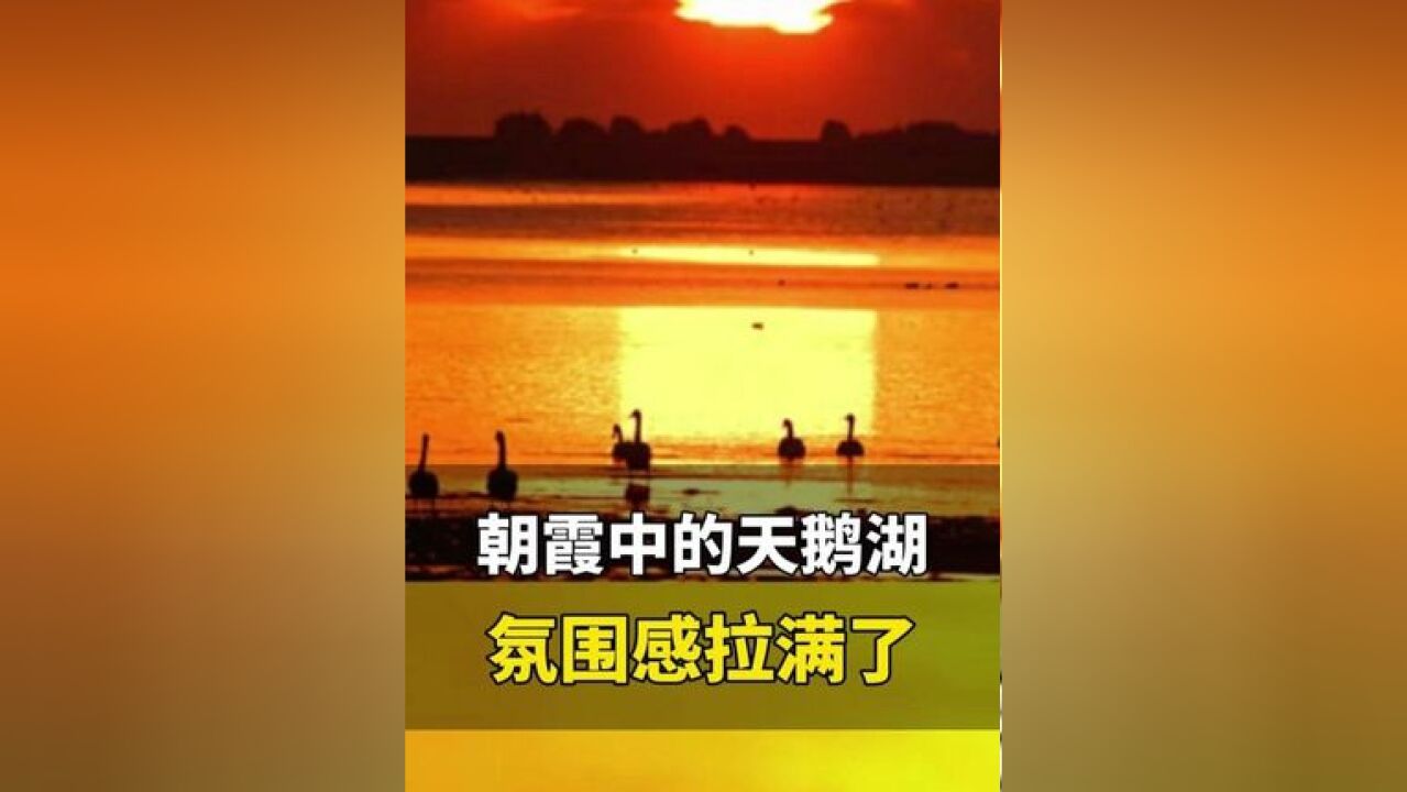 近日,山东荣成,朝霞中的天鹅湖氛围感拉满了