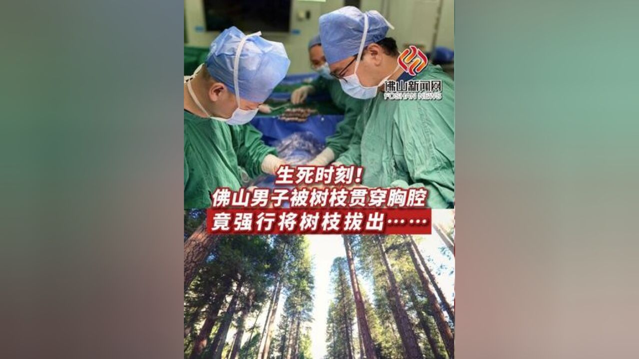 生死时刻!佛山男子被树枝贯穿胸腔,竟强行将树枝拔出……(编辑:告三)#佛山 #贯穿胸腔#生死时刻 #受伤 #重伤 #医疗#救治