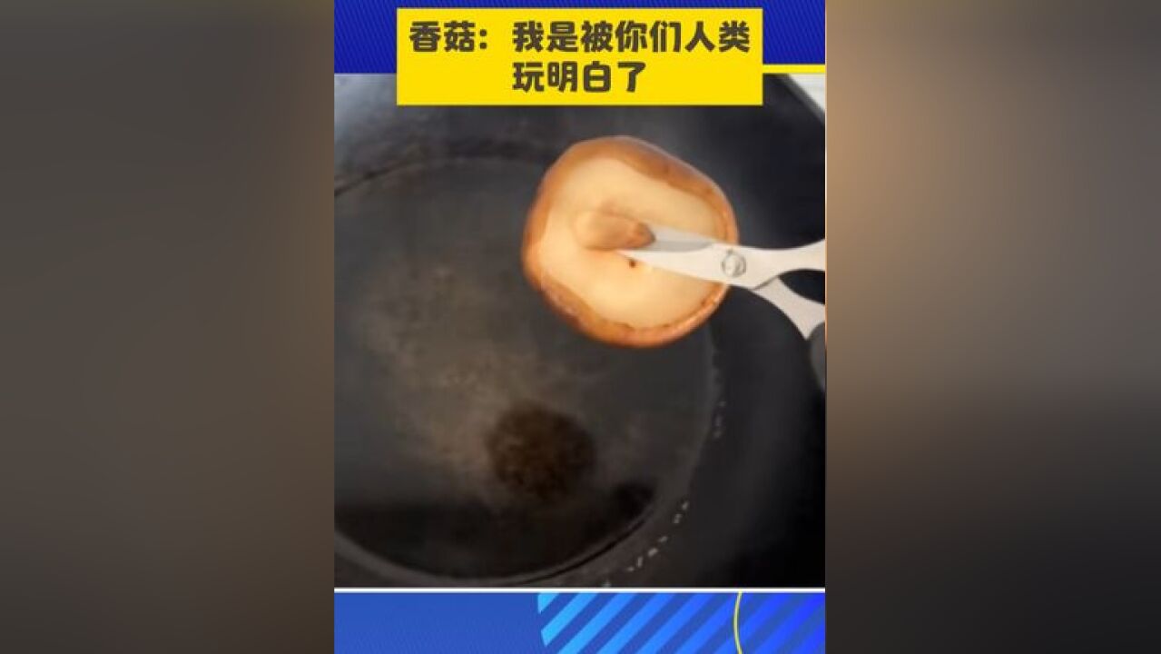 香菇,我算是被你们玩明白了!#香菇 #想哭的时候挤出点微笑