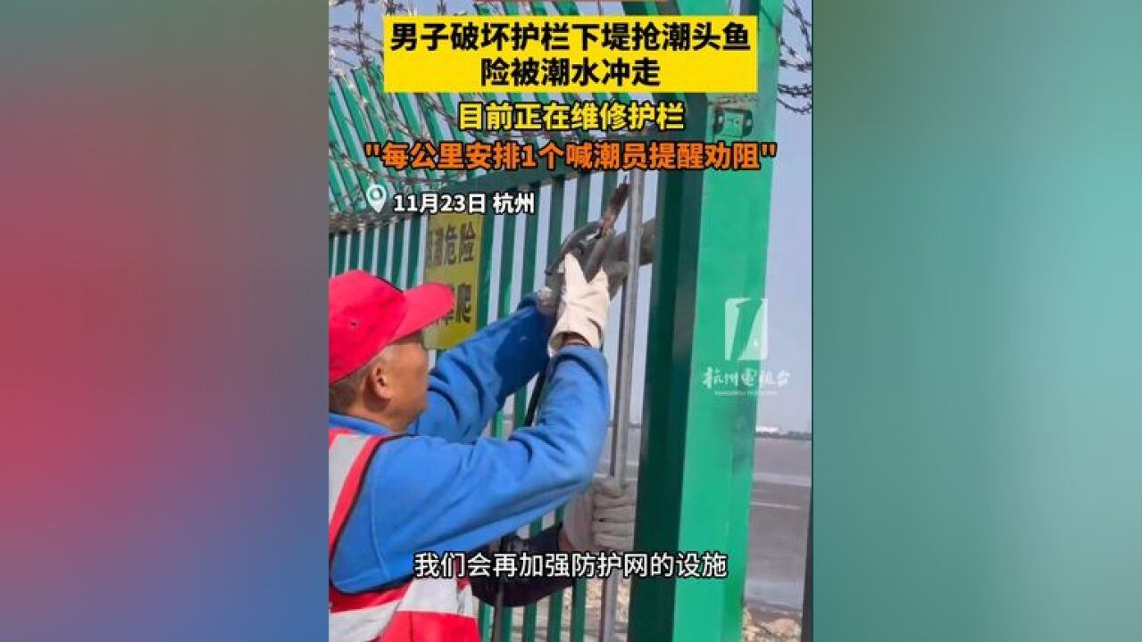 男子破坏护栏下堤抢潮头鱼险被潮水冲走!目前正在维修护栏 每公里安排1个喊潮员 提醒劝阻