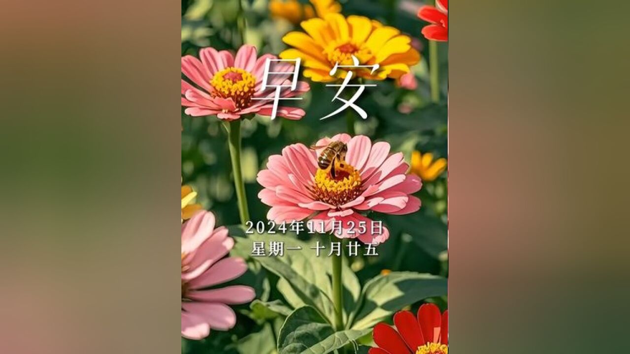 寒风起,气温降,记得添衣,愿您的生活如花般美丽,如花般幸福,健康常伴,早安!