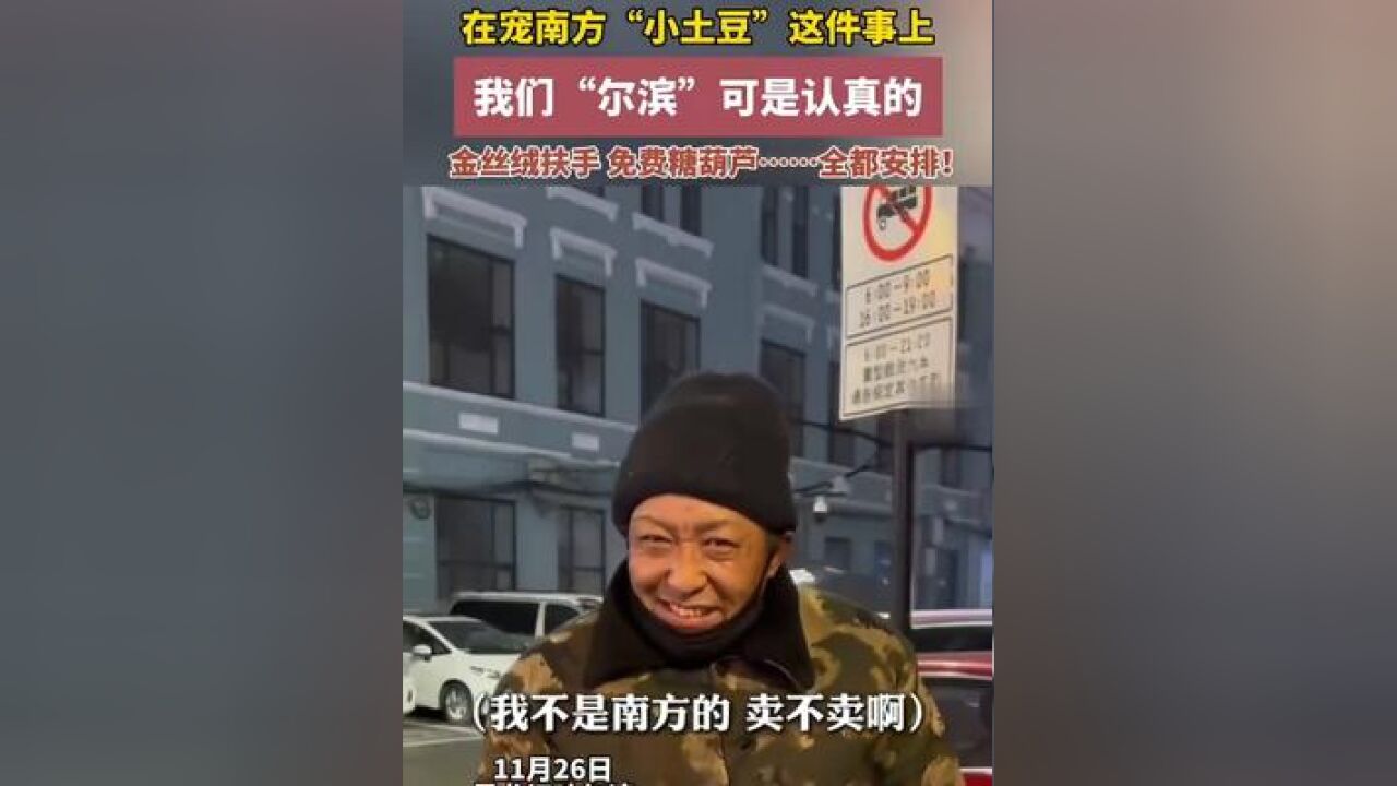 在宠南方“小土豆”这件事上,我们“尔滨”可是认真的,金丝绒扶手