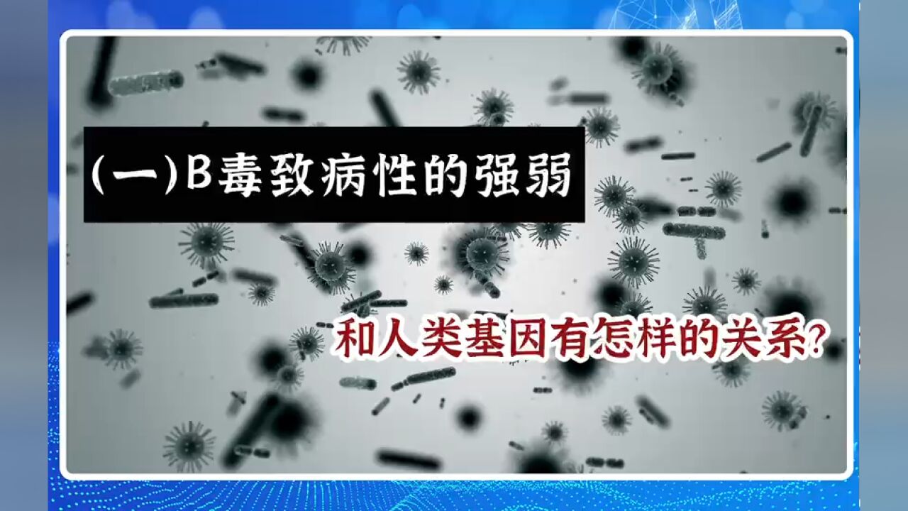 (一)B毒致病性的强弱,和人类基因有怎样的关系?