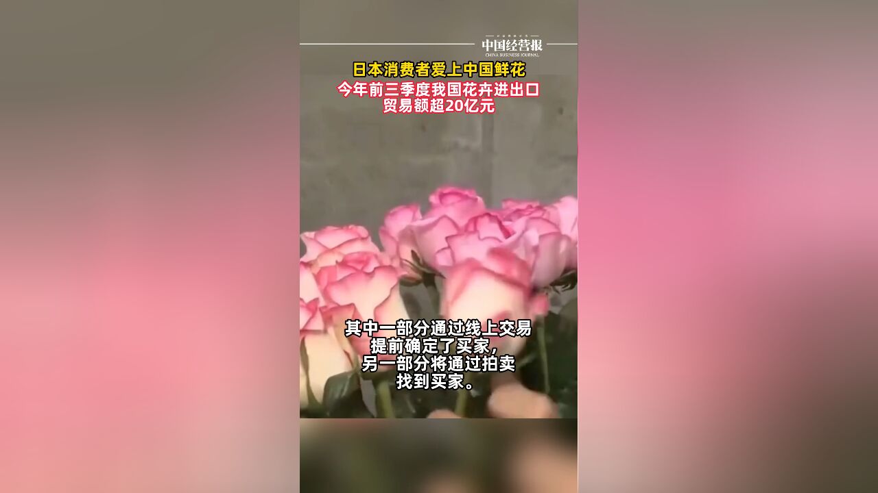 我国已成世界最大花卉生产国,越来越多日本消费者爱上中国鲜花