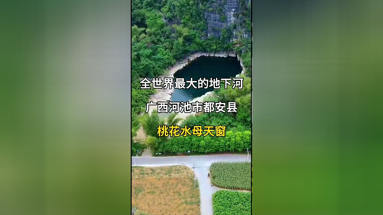 全世界最大的地下河:广西河池市都安县桃花水母天窗