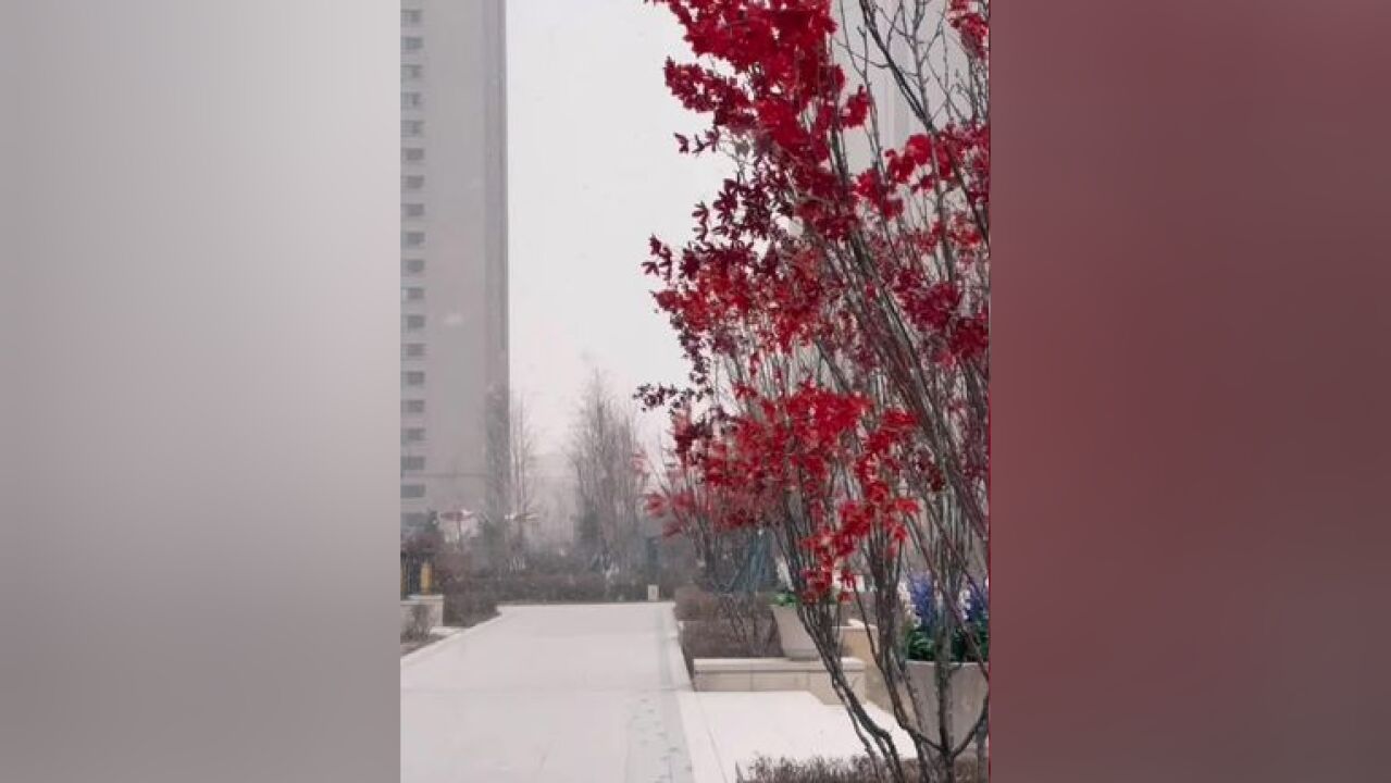 家乡的雪覆盖了熟悉的街角远方的你可曾想家