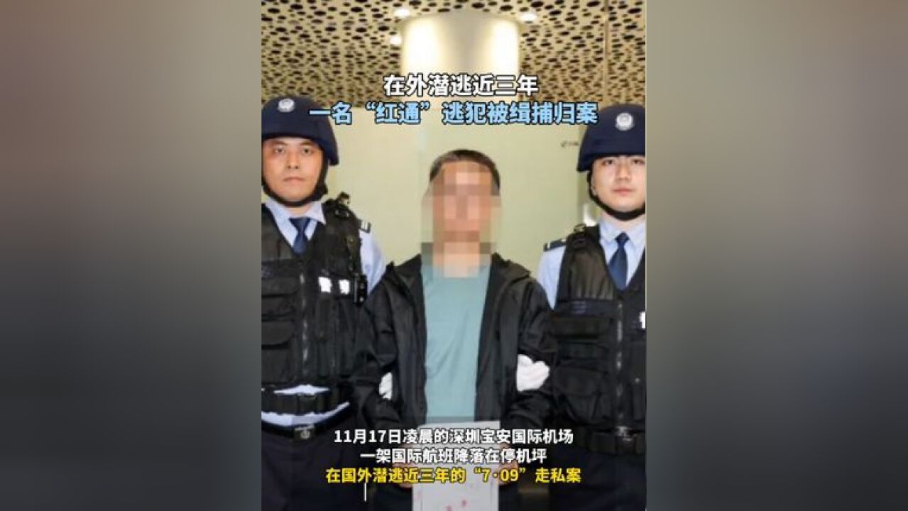 在外潜逃近三年 一名“红通”逃犯被缉捕归案