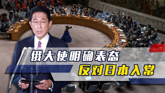 美国力挺日本入常后,俄方亮明立场,浇灭日本希望,中方态度明确