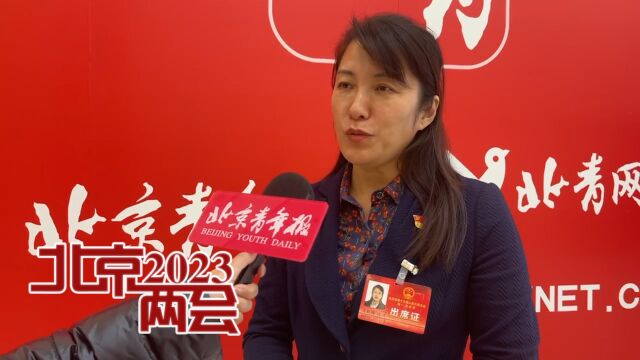 2023北京两会|王红梅代表:台湖演艺小镇将新增活力演艺场景聚集地