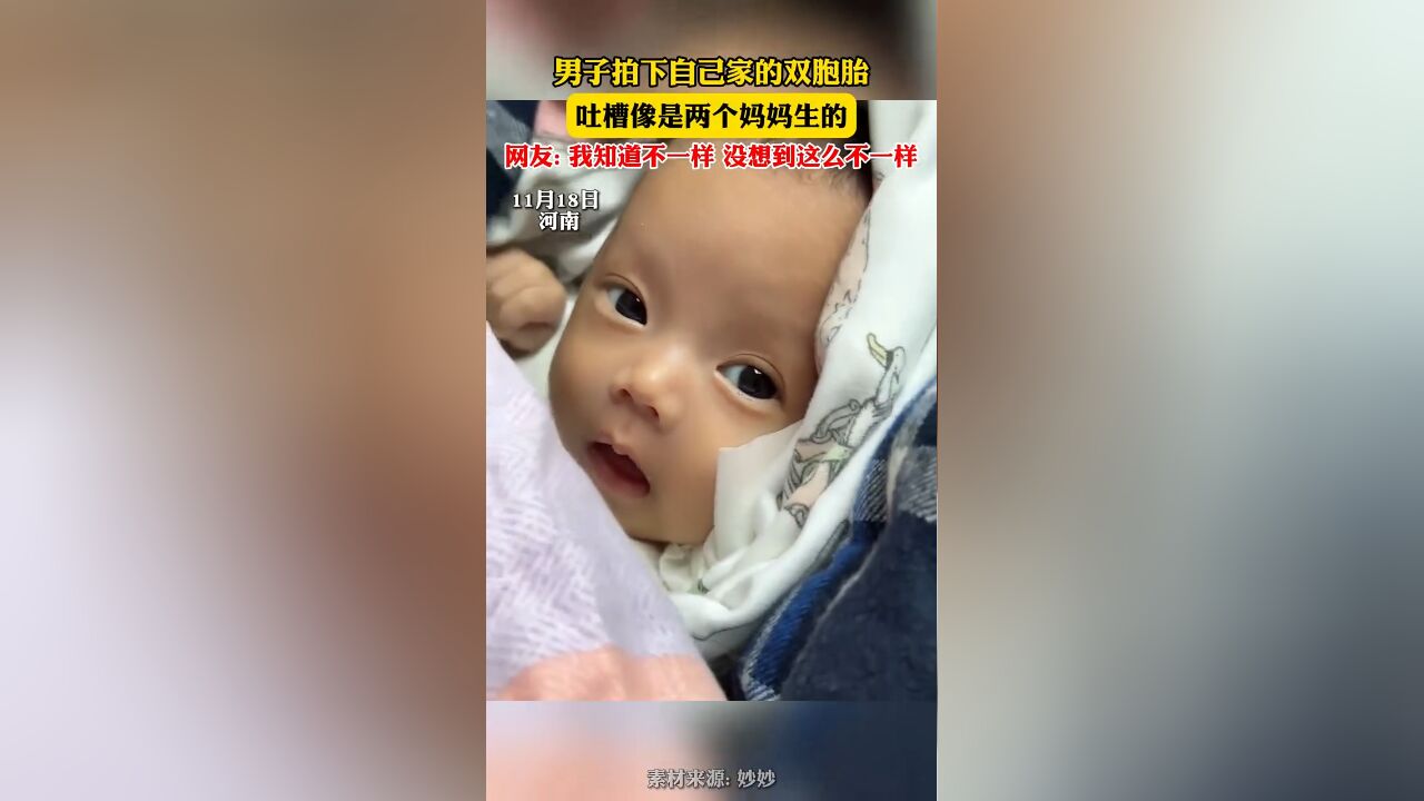 男子拍下自己家的双胞胎,吐槽像是两个妈妈生的