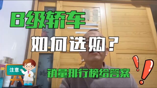 2022年度B级轿车销量榜单出炉,看完选车不用愁,你学会了吗?