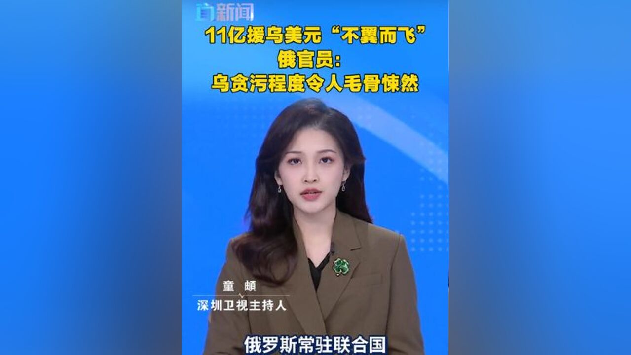 11亿援乌美元“不翼而飞” 俄官员:乌贪污程度令人毛骨悚然