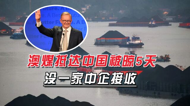 万吨澳煤抵华后被晾5天,无中企接受,合作心不诚,别怪地基不稳