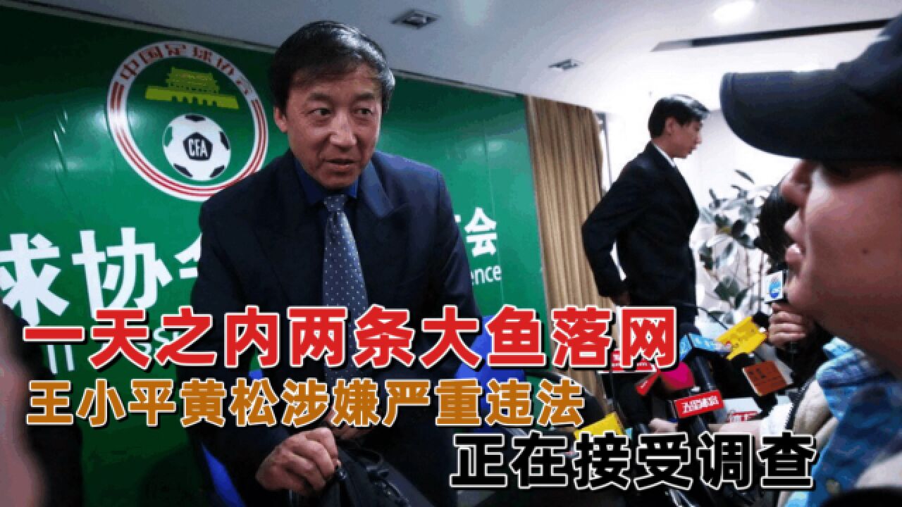 王小平黄松涉嫌严重违法违纪,正在接受监督审查,要全军覆没了?