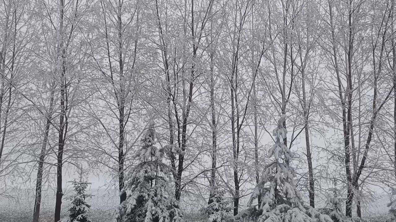 甘肃平凉迎春雪 三月再现玉树琼枝雾凇景观