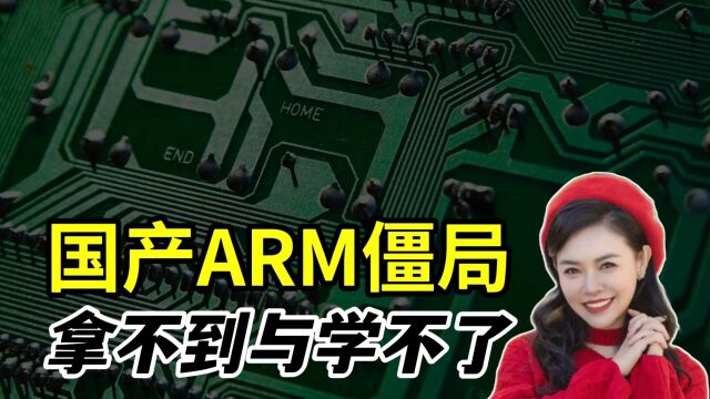 国产ARM僵局,拿不到与学不了?