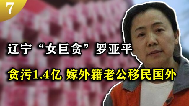 “辽宁女贪官”罗亚平,贪污受贿1.45亿,企图嫁给外国男友移民