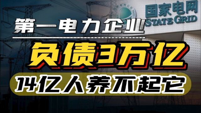 世界第一电力企业亏损3万亿,外媒:挣我们的钱,养14亿中国人?