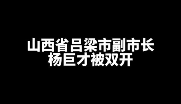 山西省吕梁市副市长杨巨才被双开