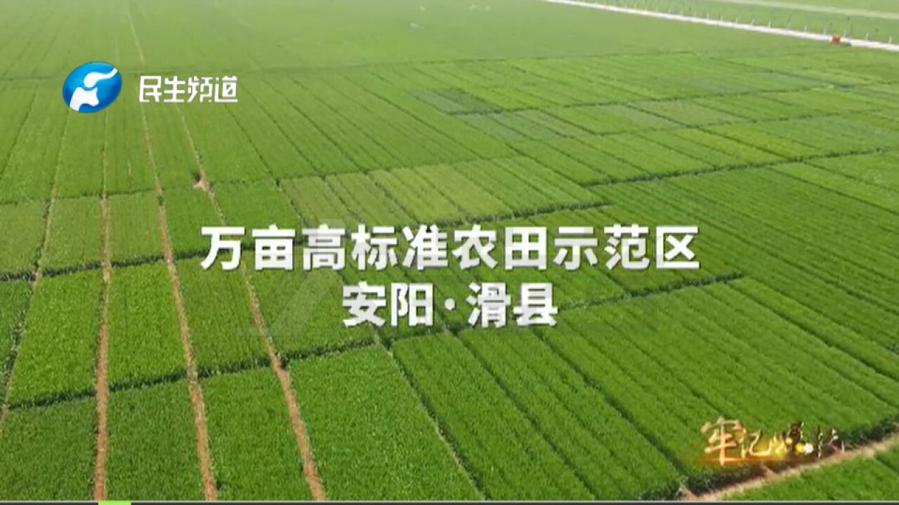 河南安阳:“请保姆”种地,系统装上后,100多亩地一个机手一天就可以完成