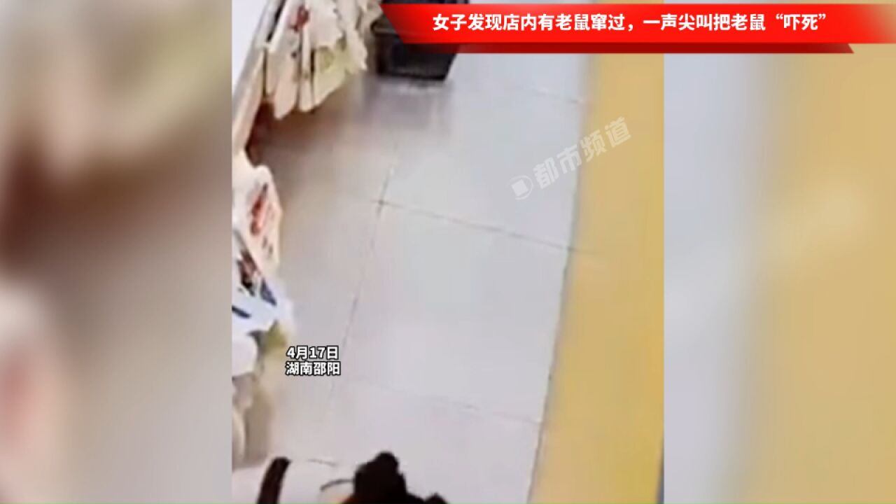 女子发现店内有老鼠窜过,一声尖叫把老鼠“吓死”