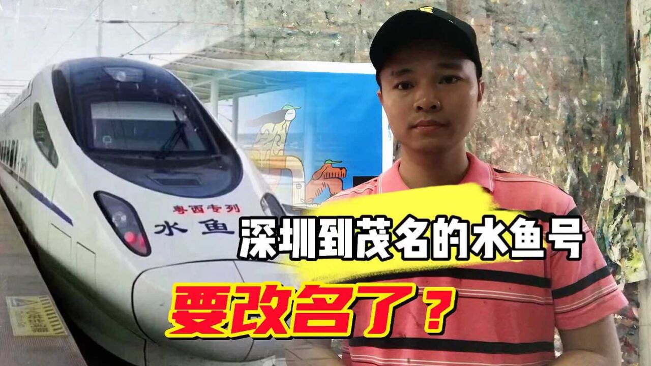 从深圳北站到茂名站的水鱼号要改名了,你觉得改个什么名更合适?