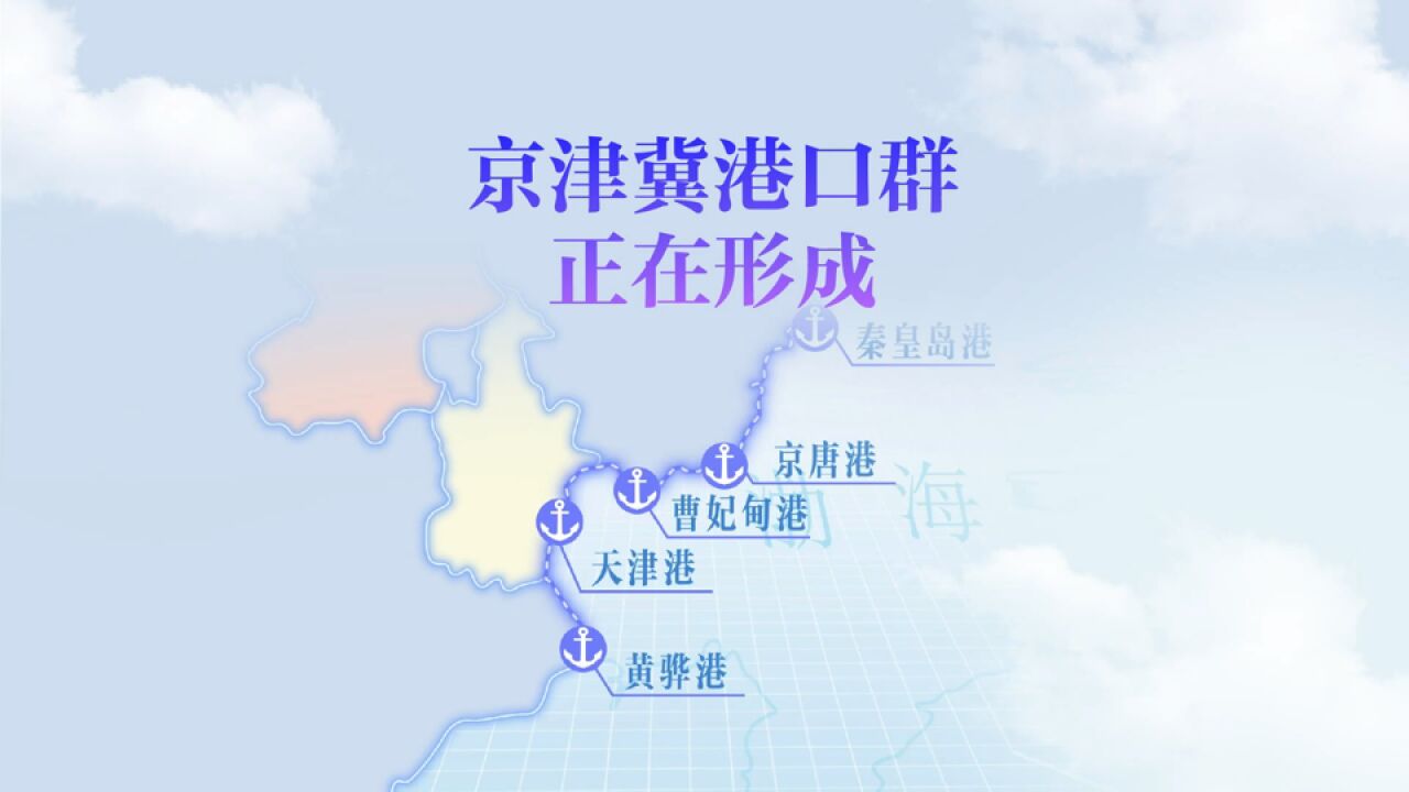 “年均增长37.5%”,如何打造世界级港口群?|动解京津冀④