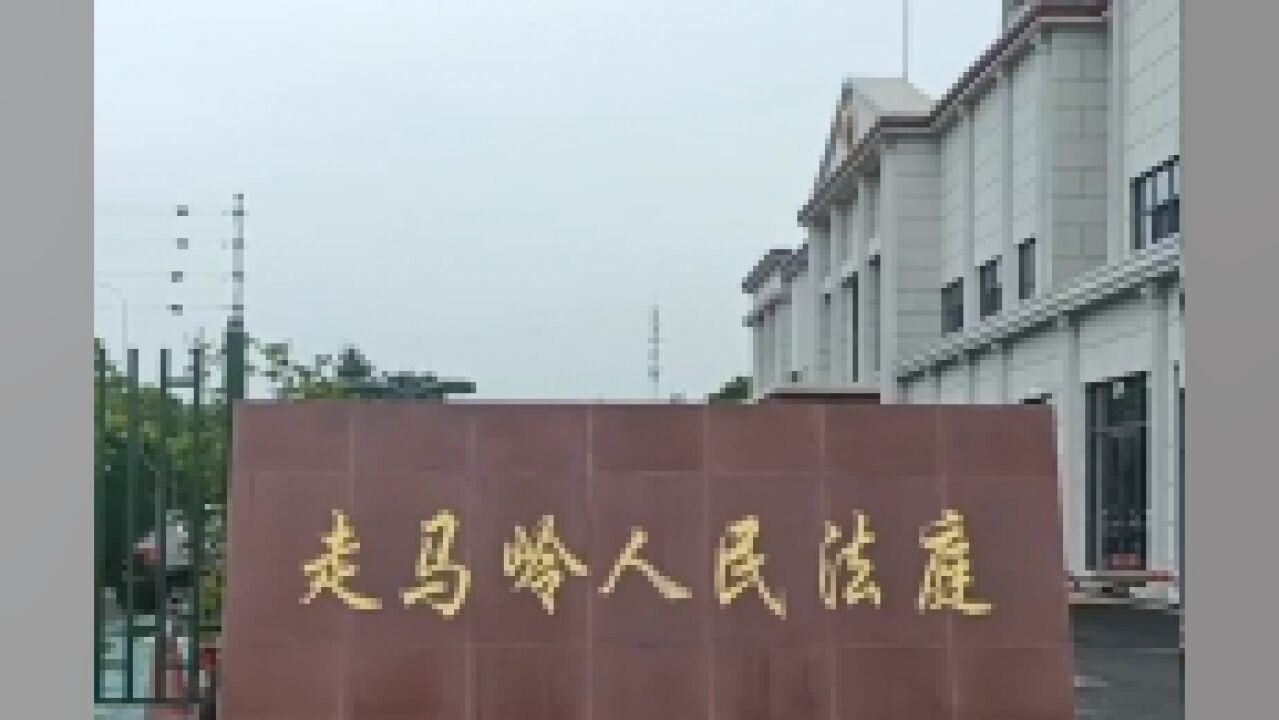 东西湖区走马岭法庭正式挂牌,全区侵权和道路交通案件都在这里审