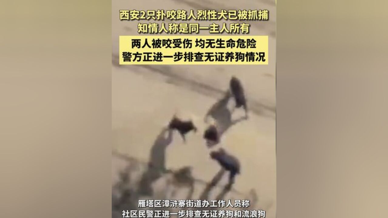 西安2只扑咬路人的烈性犬已被抓捕,知情人称是同一主人所有;被咬两人均无生命危险,警方正进一步排查无证养狗情况