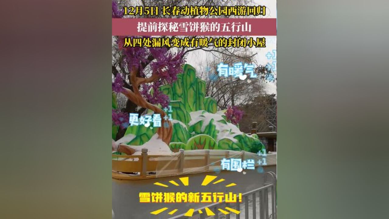 12月5日长春动植物公园西游回归!雪饼猴的“五行山”升级改造,更密闭更保暖!