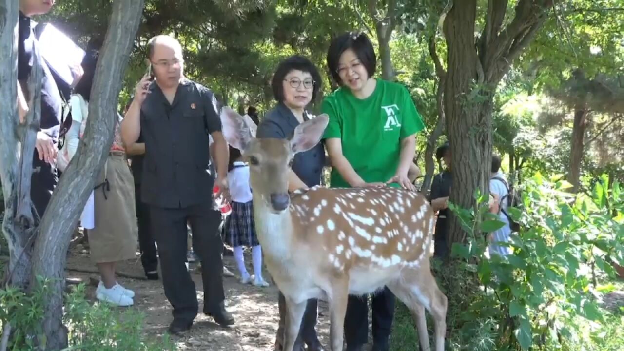 首个“全国生态日”大连中院开展主题宣传活动