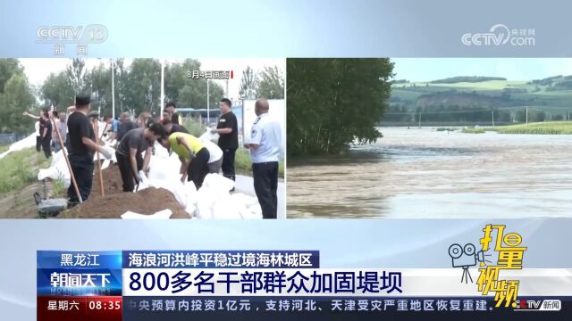 黑龙江:海浪河洪峰平稳过境海林城区