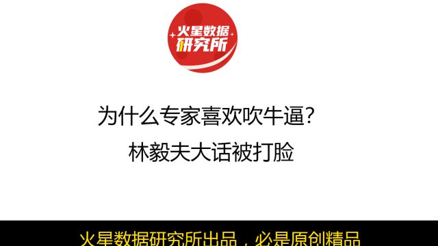 为什么专家喜欢吹牛逼?林毅夫大话被打脸