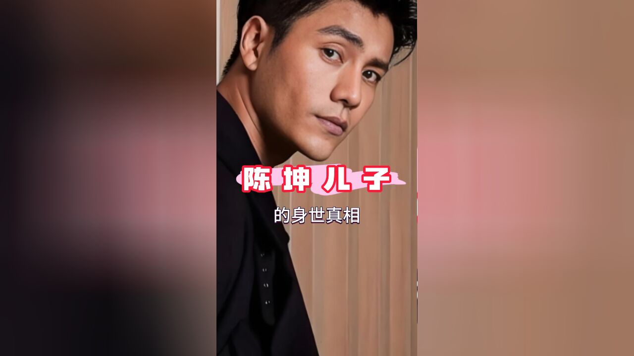 陈坤22年对儿子身世守口如瓶,您怎么看这悬而未决的谜团